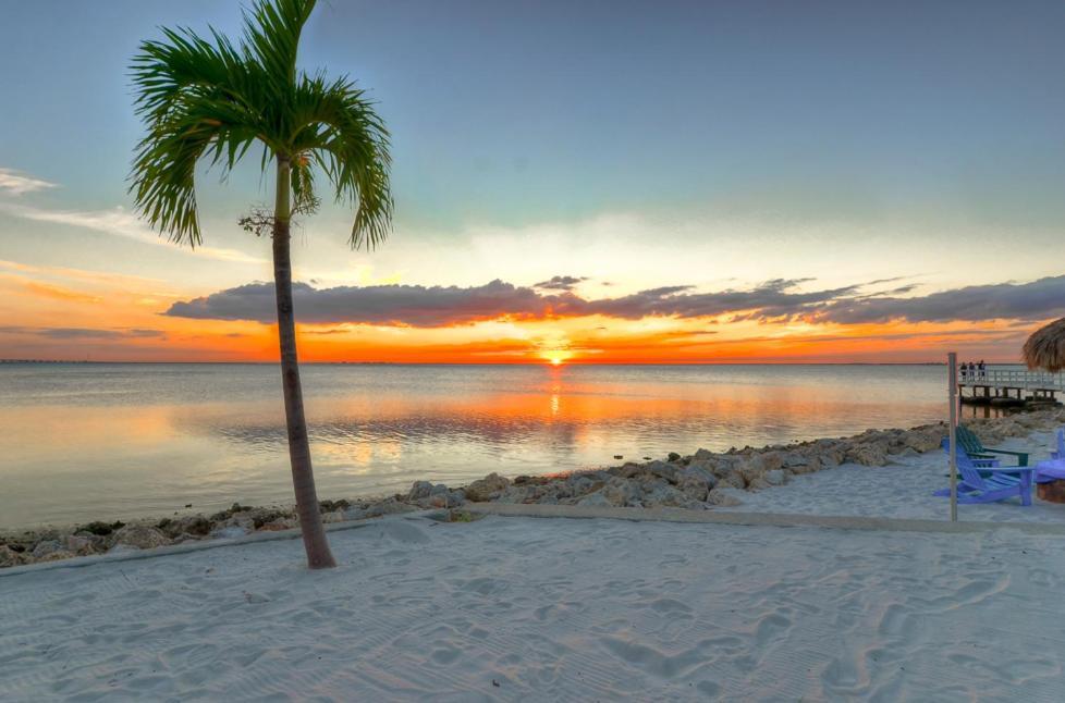441-Waterfront, Amazing Views, Wifi, Pool And Close To Bucs Stadium Tampa Exterior photo